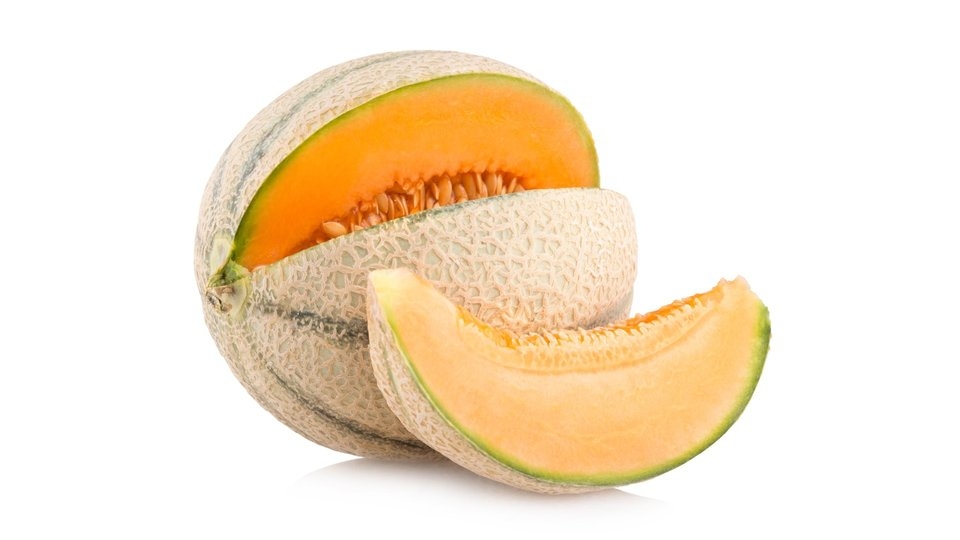 מלון כתום דבש 