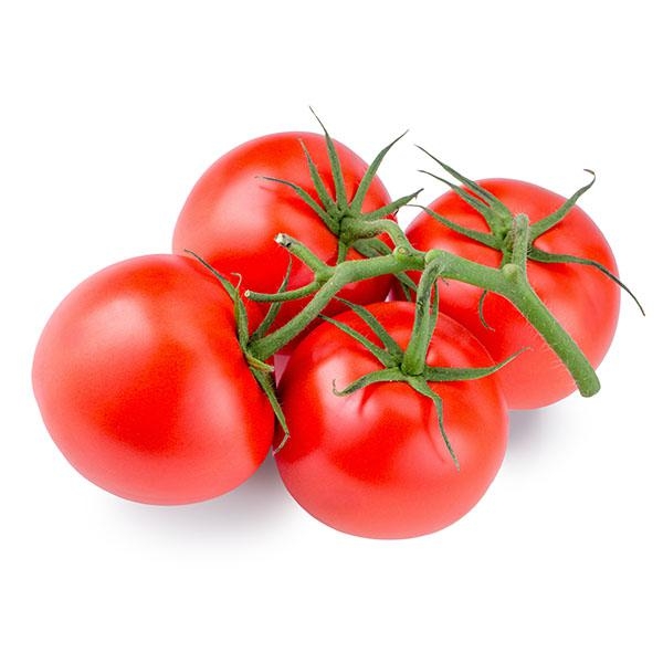 עגבניה אשכולות ישראלית 