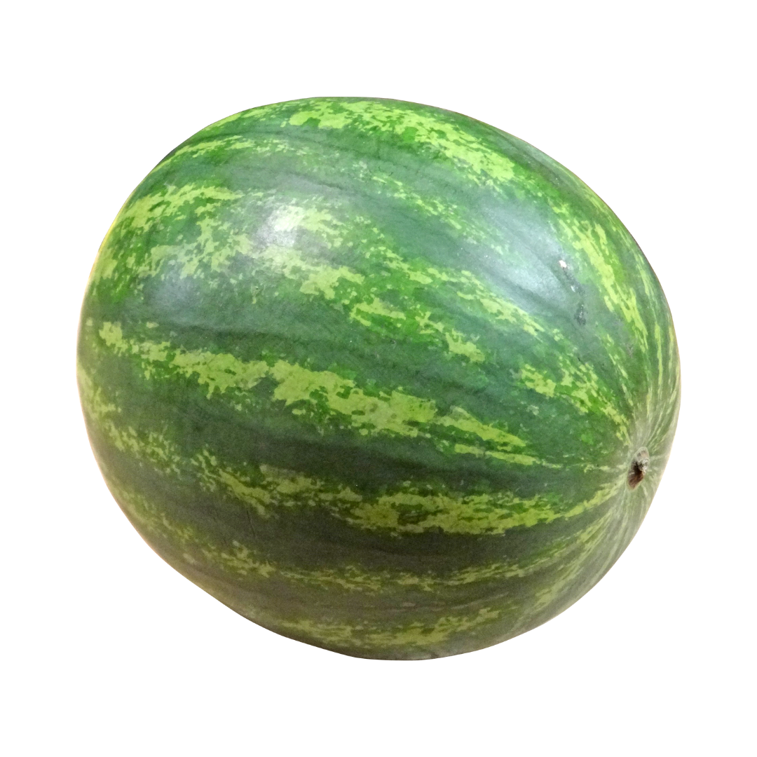אבטיח נדיר מהערבה