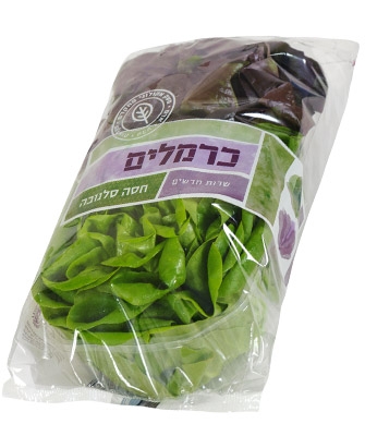 חסה סלנובה מארז כרמלים